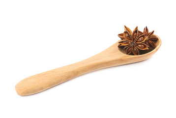 Chinese star anise seed isolated