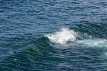 Fototapeta premium Sea wave with foam.