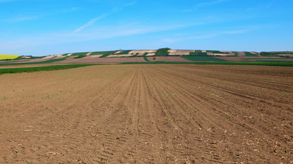 Fototapeta premium Plowed soil with nice blue sky