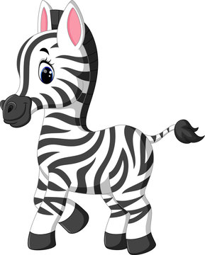 illustration of cute zebra cartoon