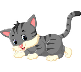 illustration of cute cat cartoon