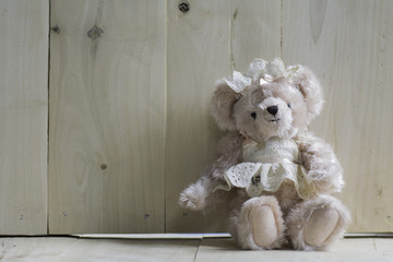 Teddy bear dressed in the Cook affordable sit on the wooden floo