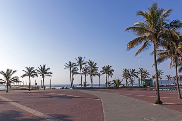  Paved Promenade Palm Trees  Pier and Ocean