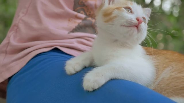 girl brunette holding kitten in teen her cat arms love outdoors