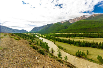 Obraz premium Altai Mountain River