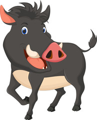 fute black wild boar cartoon run