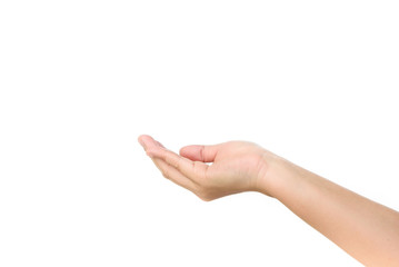 Hand and young plant