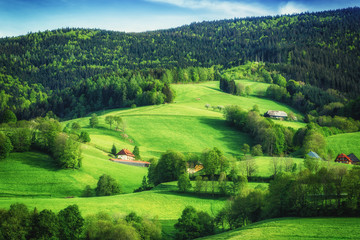 Scenic countryside landscape: green summer mountain valley with forests, fields and old houses in...