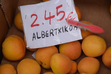 Aprikosen