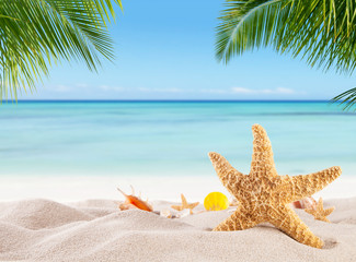Naklejka na ściany i meble Tropical beach with various shells in sand