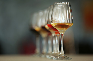 Many glasses of different wine in a row on a table