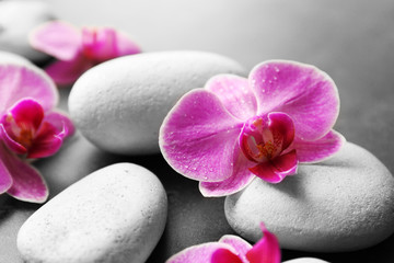 Naklejka na ściany i meble Spa stones and orchids, closeup