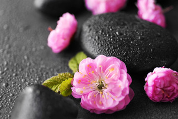 Spa stones and pink flowers, closeup