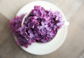 Purple lilac flowers in a cup on wooden table