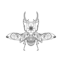 Beetle vector. Black icon on white background.