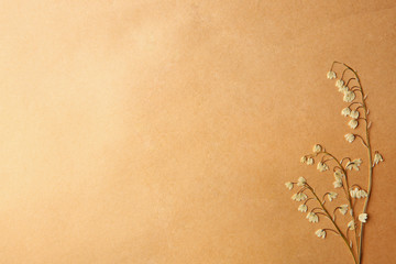 Beautiful dried blossoms on beige paper