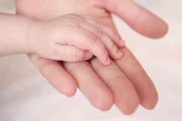Obraz na płótnie Canvas Child hand holding parent hand, closeup