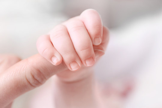 Child hand holding parent hand, closeup