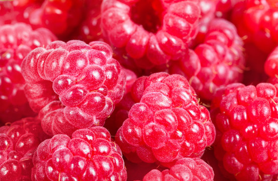 ripe raspberries. Red juicy berries closeup. Macro. Background of the berries.