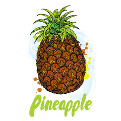 A pineapple. Vector illustration.