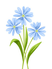 Vector bouquet of blue flowers isolated on a white background.