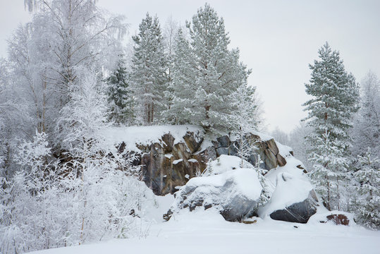 January cloudy day on the rocks of Karelia. Russia