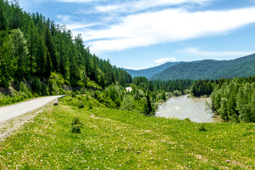 Fototapeta premium In the Altai Mountains