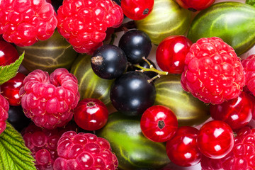 A mixture of ripe juicy fruits and berries on a white background. Raspberries, currants, gooseberries close-up. Beautiful fruit background