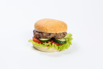 Burger on a white background