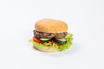 Burger on a white background