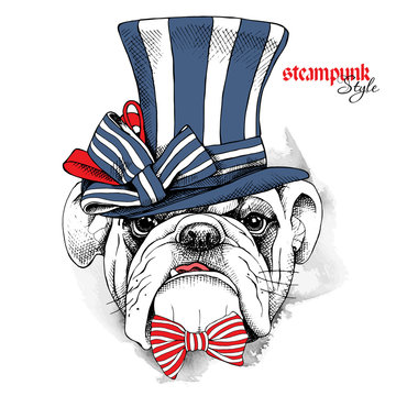 The image of the dog Bulldog in the steampunk top hat and with bow. Vector illustration.