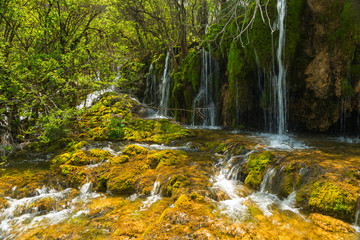 Waterfall on Panda Lake in Jiuzhaigou National Park, Sichuan Pro