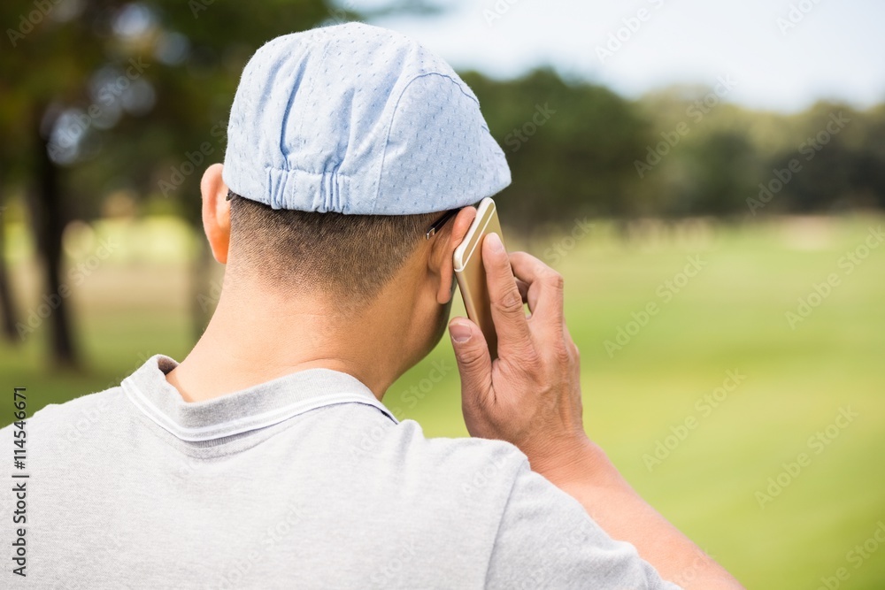 Poster rear view of golfer calling