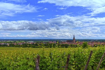Fototapeta na wymiar View on Saint-Hyppolyte and vineyard, Alsace, France