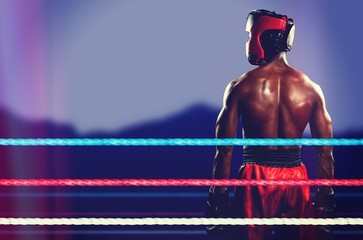 Composite image of rear view of boxer standing