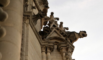 Obraz premium CATEDRAL DE NOTRE DAME