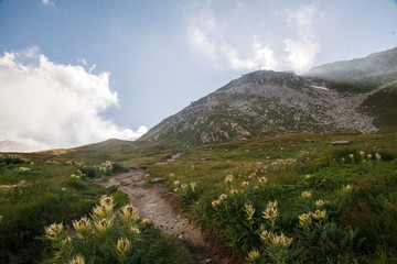 mountain panorama, switzerland