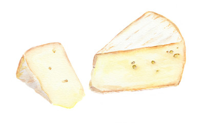 Cheese brie slice. Watercolor