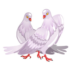 Two pink pigeon. Symbol of love