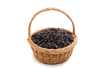 Fototapeta na wymiar black raspberries in a basket