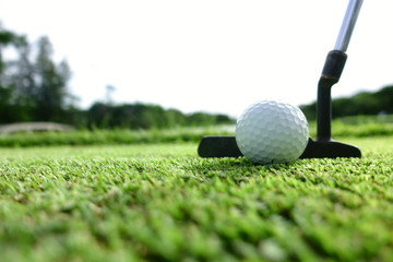 Playing golf. Golf club and ball. Preparing to shot