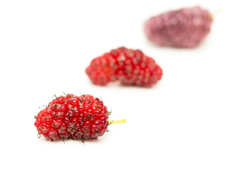 mulberry berry on a white background
