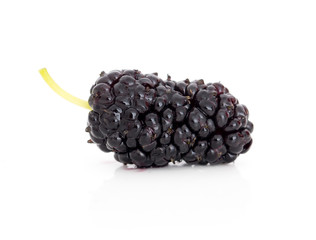 mulberry berry on a white background