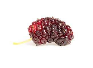 mulberry berry on a white background