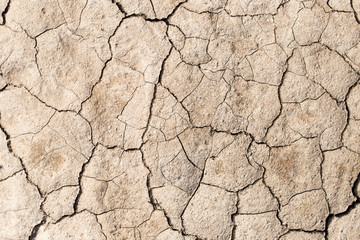 cracked earth as a background. texture