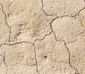 Obraz premium cracked earth as a background. texture