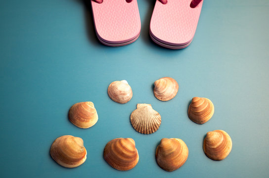 Conchiglia e sandali da mare. Vacanze estive. Immagine simbolica per attività turistica. 