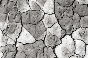 cracked earth as a background. texture
