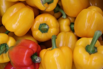 the fruits of pepper. background
