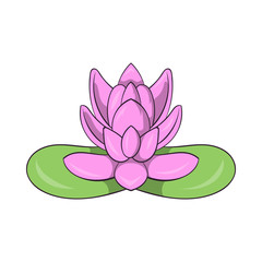 Pink lotus flower icon, cartoon style